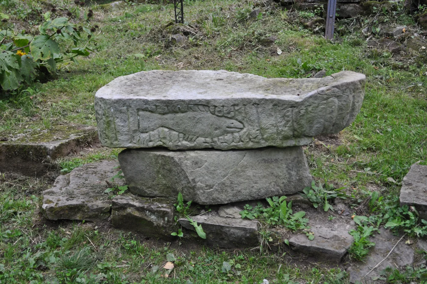 Dolina górnego Sanu — Beniowa i Sianki — okolica Bukowca w Bieszczadach