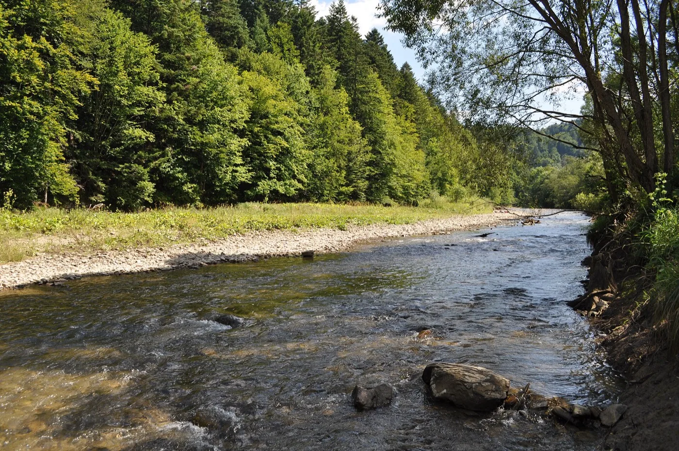 Sine Wiry — okolica Bukowca w Bieszczadach