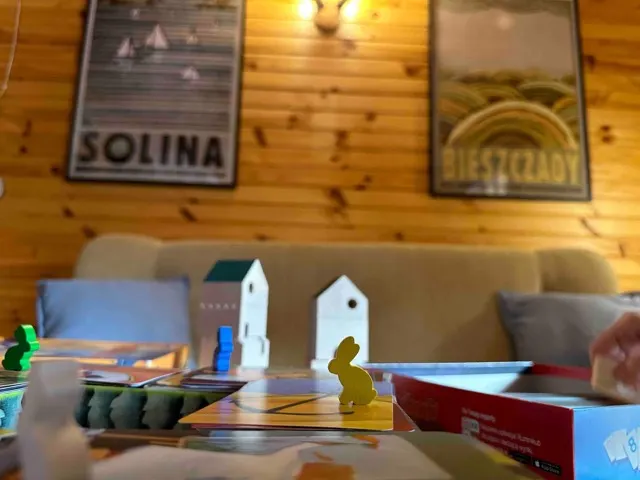 Salon — Urocza chata z sauną w bieszczadzkim Parku Krajobrazowym, Bukowiec w Bieszczadach