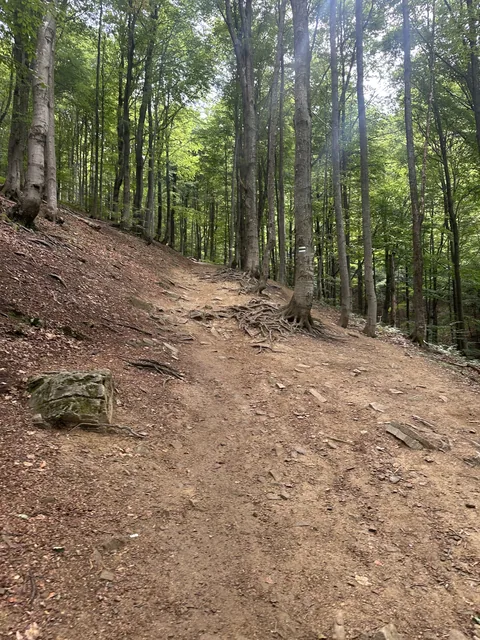 Okoliczne szlaki — okolica, Bukowiec w Bieszczadach