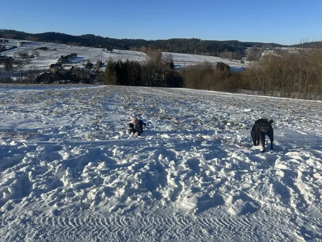 Dojazd i okolica — okolica, Bukowiec w Bieszczadach