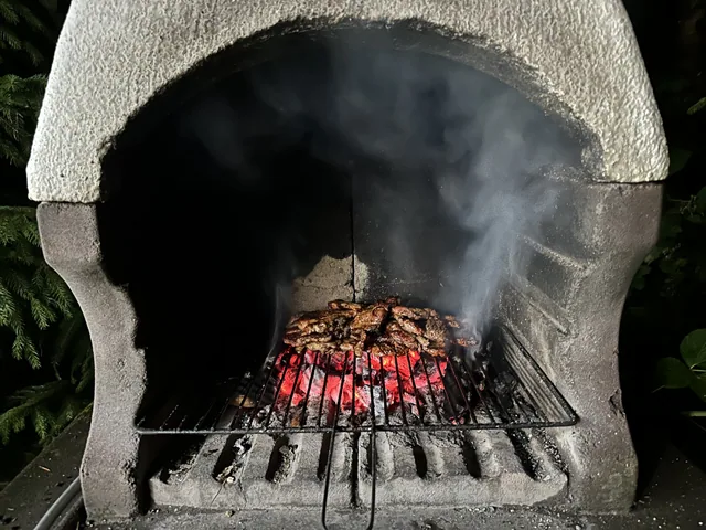 Grill — Urocza chata z sauną w bieszczadzkim Parku Krajobrazowym, Bukowiec w Bieszczadach
