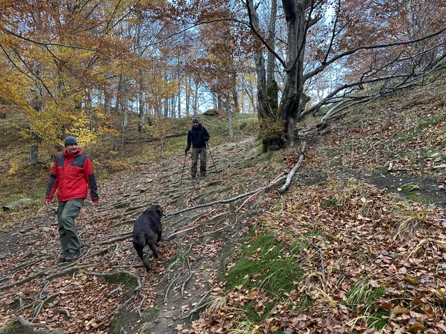 Okoliczne szlaki — okolica, Bukowiec w Bieszczadach