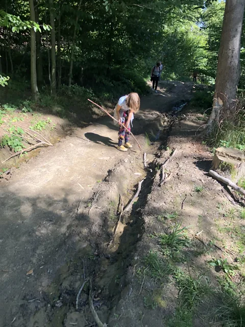 Okoliczne szlaki — okolica, Bukowiec w Bieszczadach