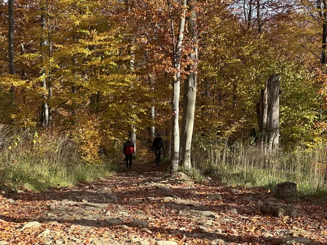 Okoliczne szlaki — okolica, Bukowiec w Bieszczadach