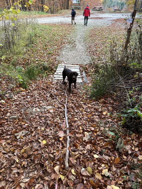 Okoliczne szlaki — okolica, Bukowiec w Bieszczadach