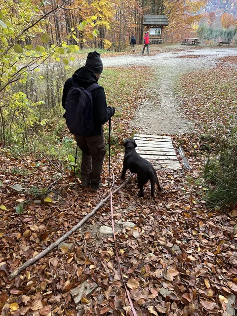 Okoliczne szlaki — okolica, Bukowiec w Bieszczadach