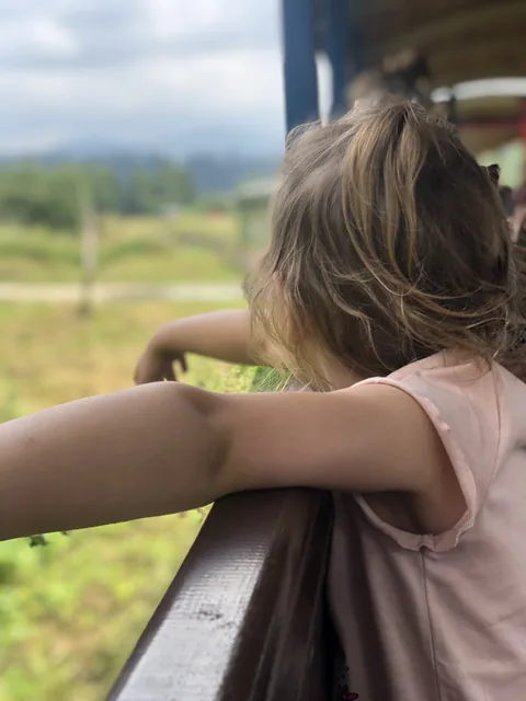 Bieszczadzka Kolejka Leśna — okolica Bukowca w Bieszczadach