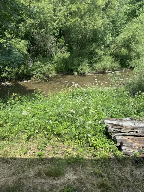 Okoliczne szlaki — okolica, Bukowiec w Bieszczadach