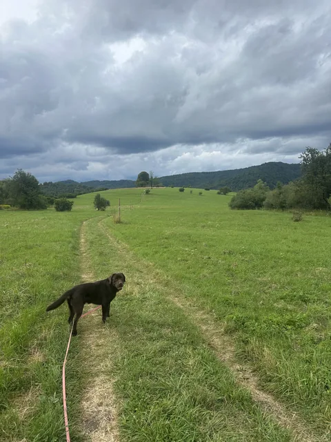 Okoliczne szlaki — okolica, Bukowiec w Bieszczadach