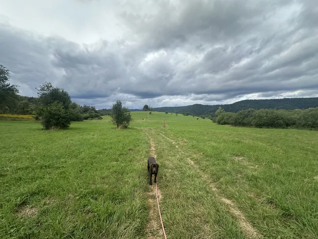 Okoliczne szlaki — okolica, Bukowiec w Bieszczadach