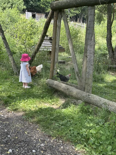Leśny Zwierzyniec pod Cisną — okolica Bukowca w Bieszczadach