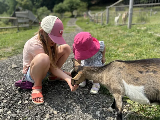 Okoliczne szlaki — okolica, Bukowiec w Bieszczadach