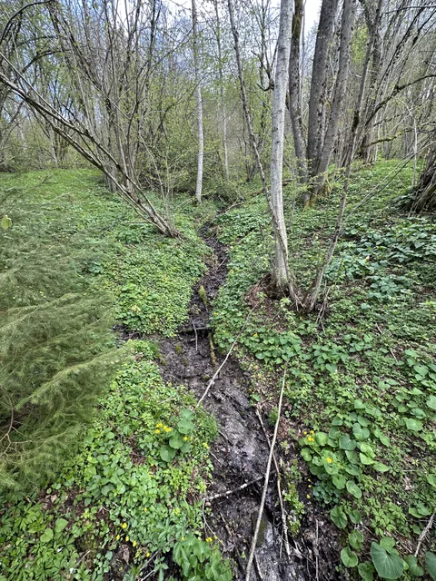 Okoliczne szlaki — okolica, Bukowiec w Bieszczadach