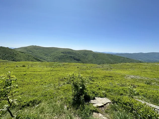 Okoliczne szlaki — okolica, Bukowiec w Bieszczadach