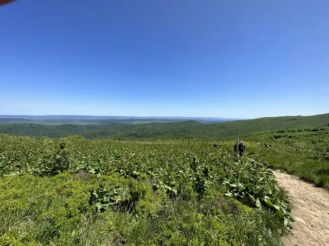 Okoliczne szlaki — okolica, Bukowiec w Bieszczadach
