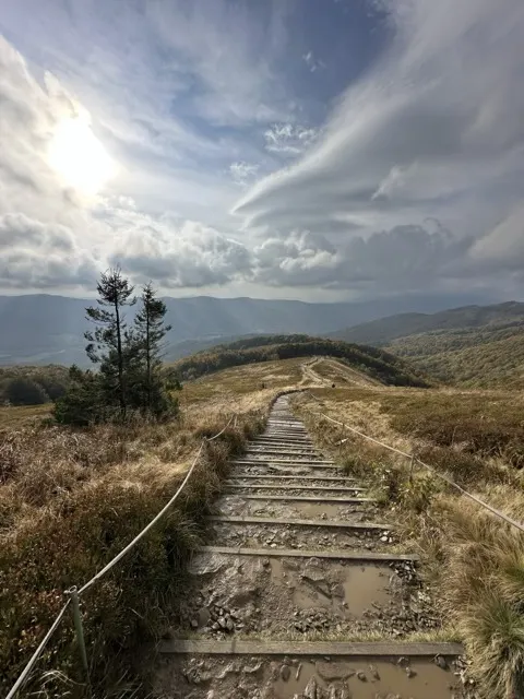 Tarnica — okolica Bukowca w Bieszczadach