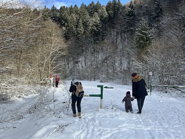 Trails nearby — Getting here: the drive, winter, supplies and mobile coverage, Bukowiec in the Bieszczady mountains, Poland