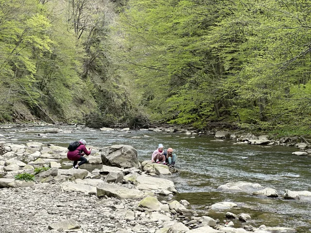 Okoliczne szlaki — okolica, Bukowiec w Bieszczadach