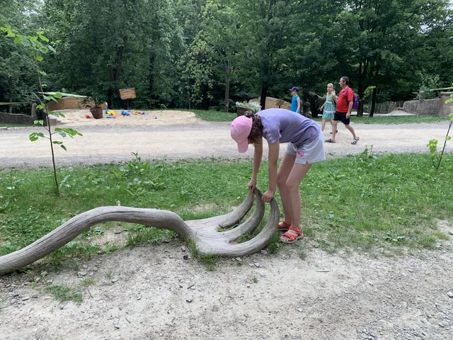 Okoliczne szlaki — okolica, Bukowiec w Bieszczadach