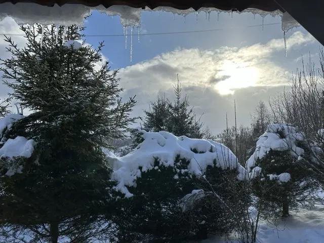 The cabin from outside — Two wooden cabins in the Bieszczady mountains, rented whole, Bukowiec in the Bieszczady mountains, Poland