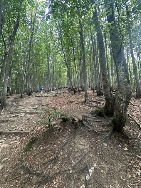 Okoliczne szlaki — okolica, Bukowiec w Bieszczadach