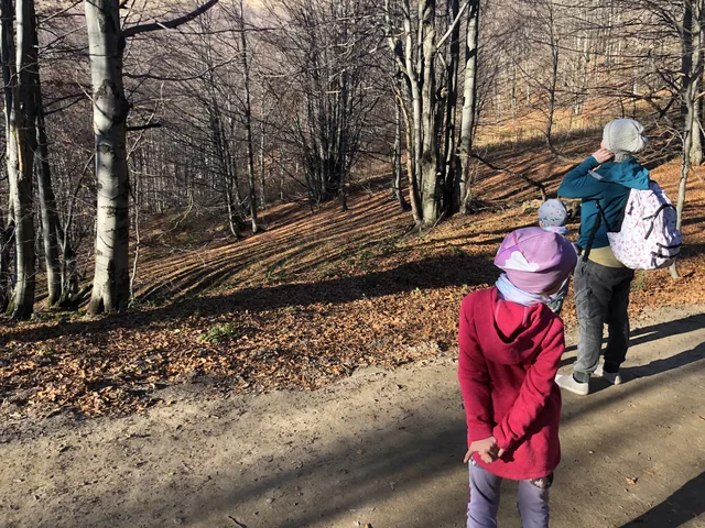Okoliczne szlaki — okolica, Bukowiec w Bieszczadach