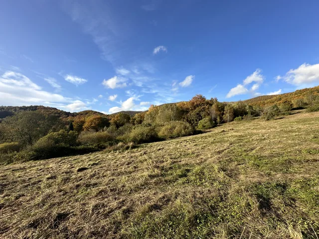 Okoliczne szlaki — okolica, Bukowiec w Bieszczadach
