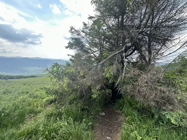 Okoliczne szlaki — okolica, Bukowiec w Bieszczadach