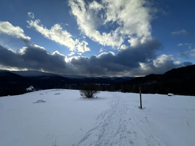 Okoliczne szlaki — okolica, Bukowiec w Bieszczadach